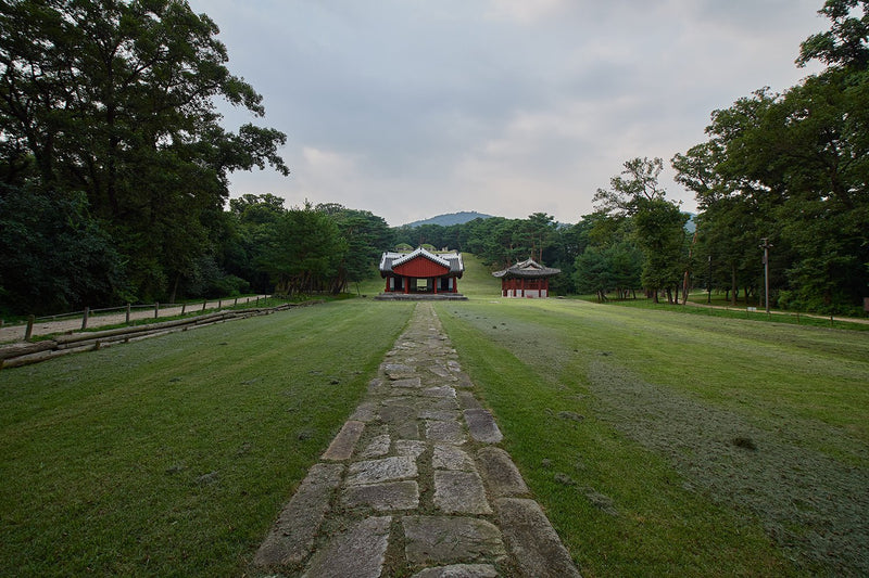 Samyang 10mm F2.8 Ultra Wide Angle