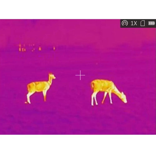 AGM Global Vision Rattler TS35-384 2.14x35mm Thermal Imaging Riflescope