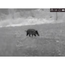 AGM Global Vision Rattler TC35-384 1x35mm Thermal Imaging Riflescope