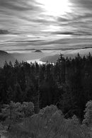 Rokinon 35mm F1.4 Full Frame Wide Angle