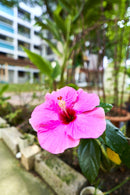 Rokinon 18mm F2.8 AF Compact Full Frame Super Wide Angle (Sony E)