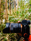 Rokinon 24mm F1.8 AF Compact Full Frame Wide Angle with Lens Station (Sony E)