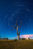 Samyang 14mm F2.8 Full Frame Ultra Wide Angle (Canon RF)