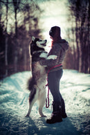 Rokinon 85mm F1.4 AF High Speed Full Frame Telephoto with Lens Station (Nikon F)