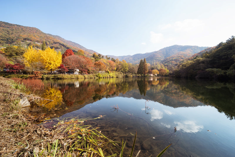 Rokinon 14mm F2.8 AF Weather Sealed Wide Angle (Canon EF)
