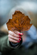 Rokinon 85mm F1.2 SP Full Frame (Canon EF with Automatic Chip)