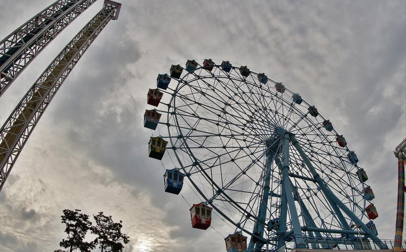 Samyang 8mm T3.8 Compact HD Fisheye